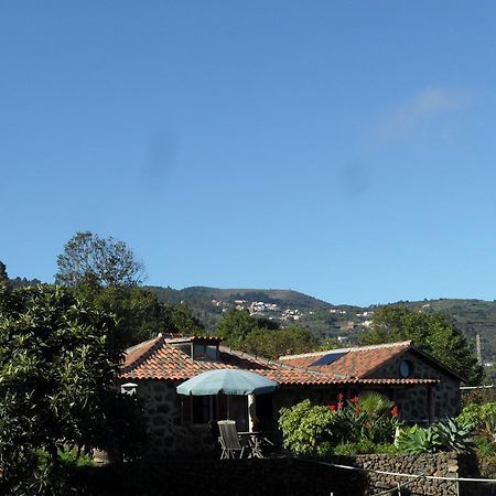 Finca Cueva Del Viento 이코드레로스비노스 객실 사진