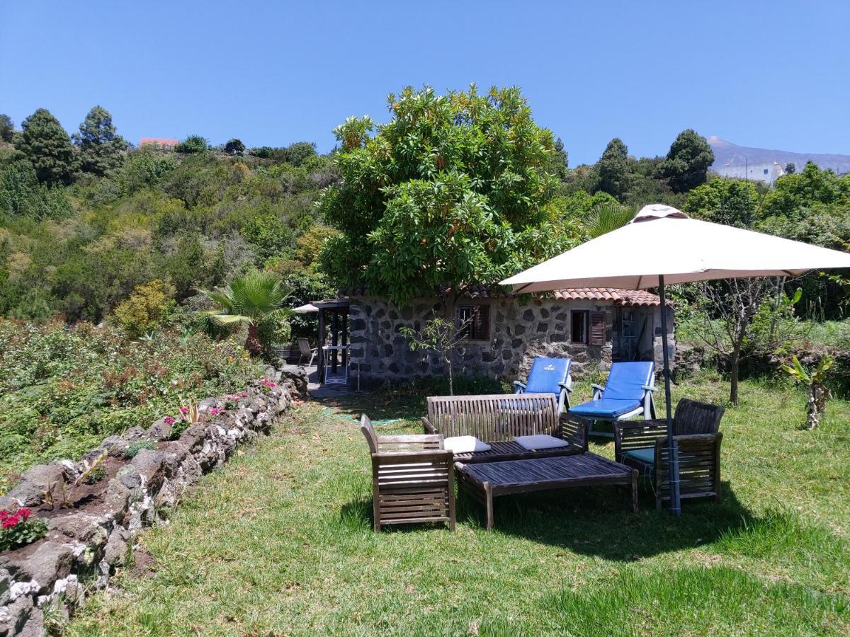 Finca Cueva Del Viento 이코드레로스비노스 외부 사진