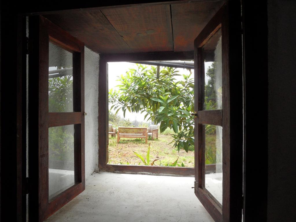 Finca Cueva Del Viento 이코드레로스비노스 객실 사진