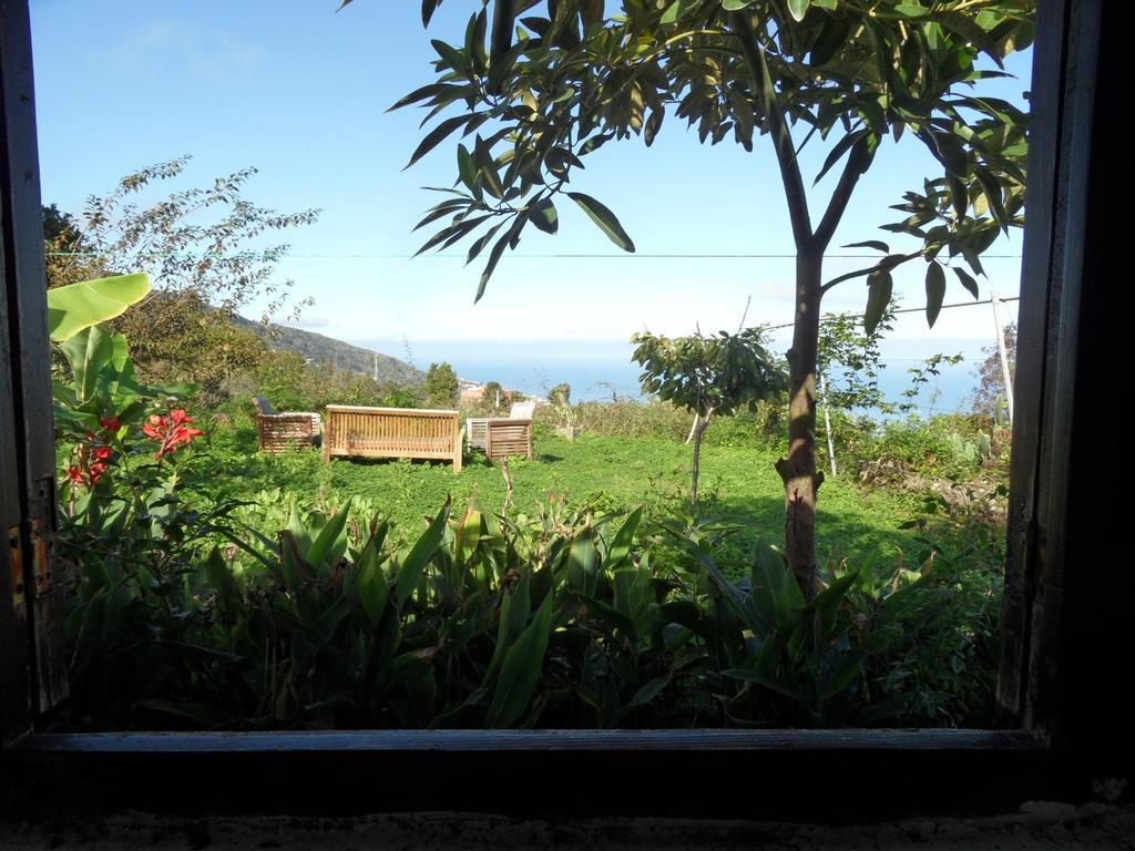 Finca Cueva Del Viento 이코드레로스비노스 객실 사진