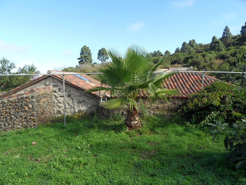 Finca Cueva Del Viento 이코드레로스비노스 객실 사진