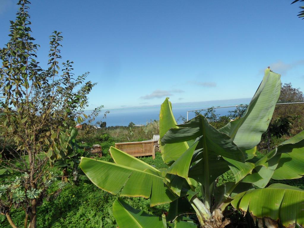 Finca Cueva Del Viento 이코드레로스비노스 객실 사진