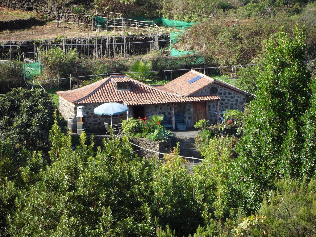 Finca Cueva Del Viento 이코드레로스비노스 객실 사진