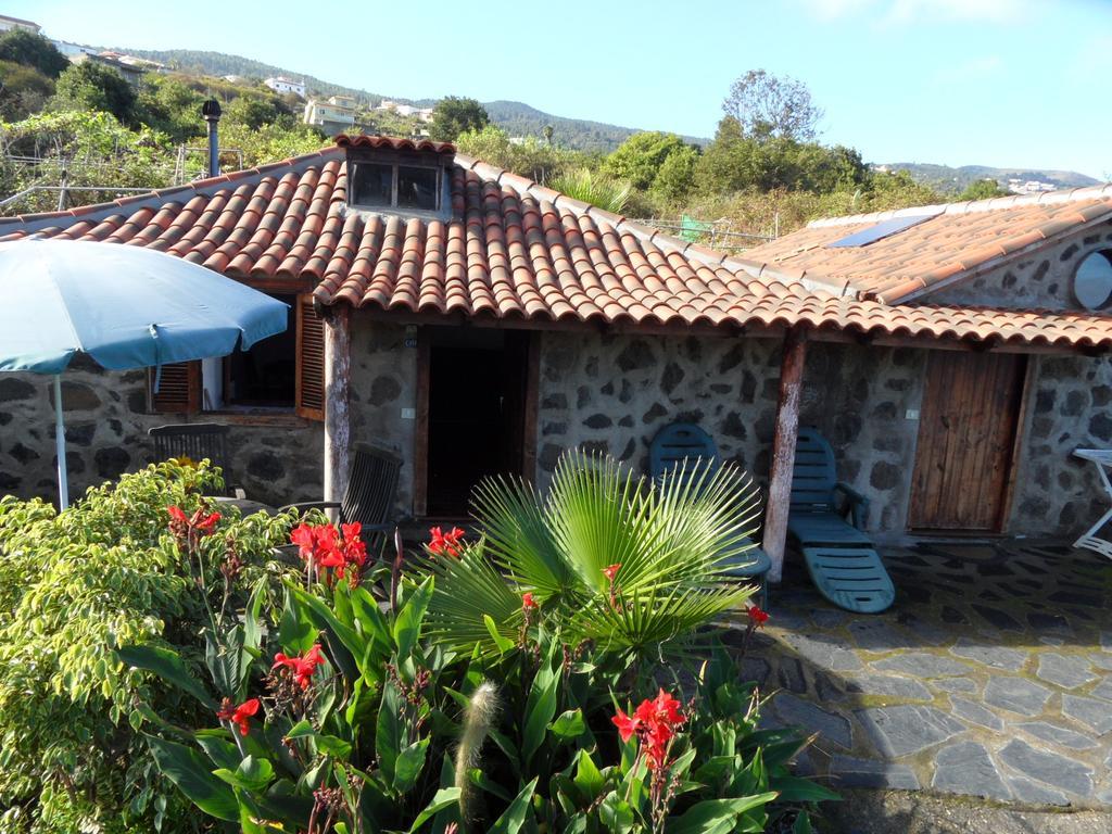 Finca Cueva Del Viento 이코드레로스비노스 객실 사진