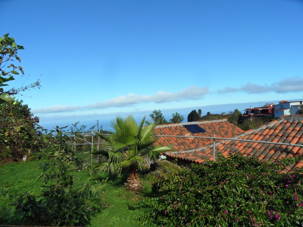 Finca Cueva Del Viento 이코드레로스비노스 객실 사진