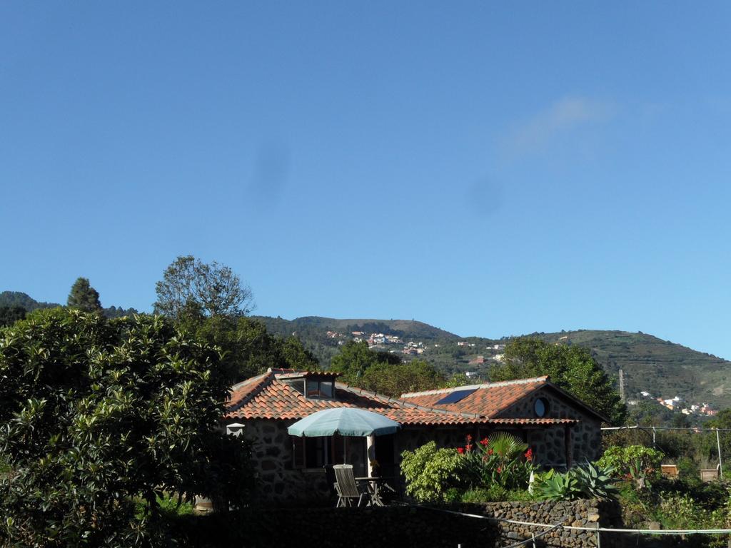 Finca Cueva Del Viento 이코드레로스비노스 객실 사진