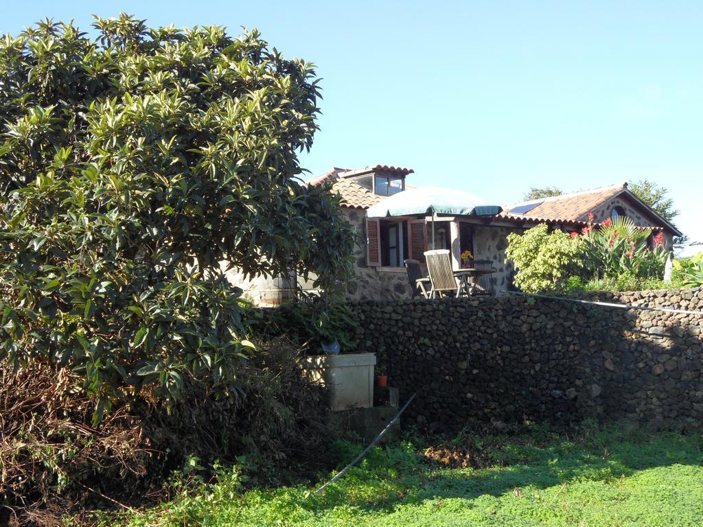 Finca Cueva Del Viento 이코드레로스비노스 객실 사진